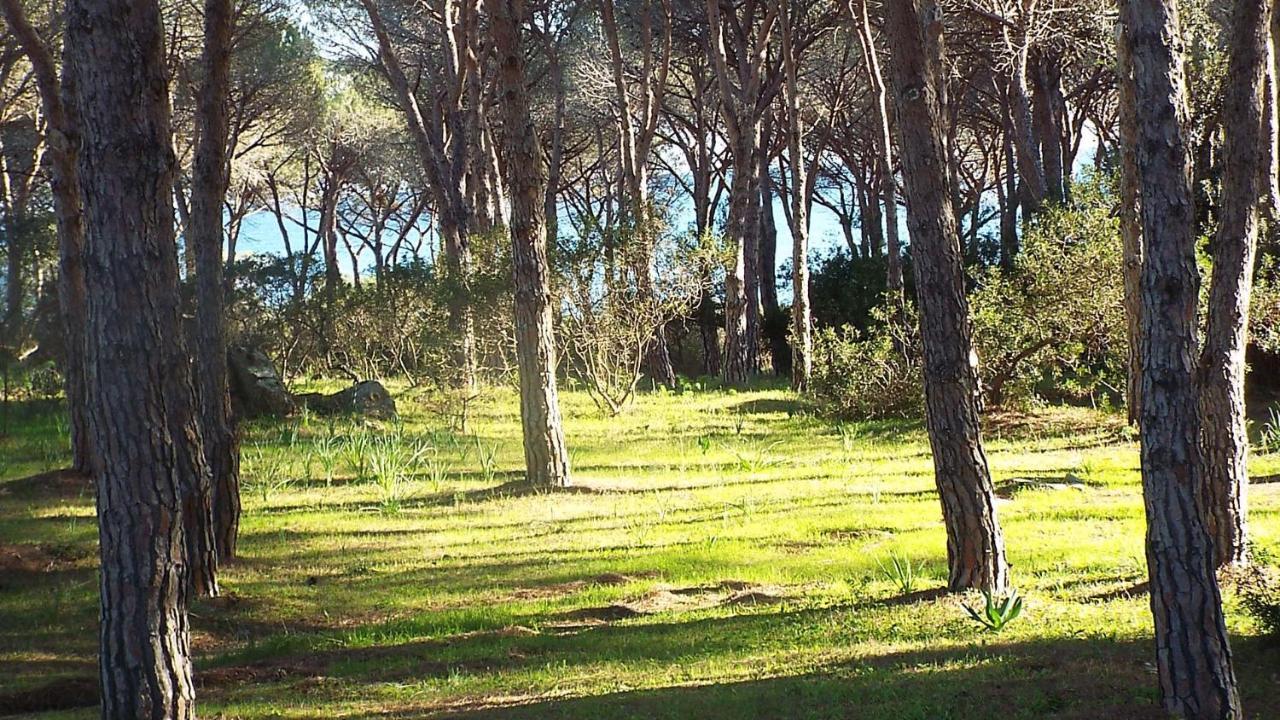 Villetta Con Giardino A Budoni Buitenkant foto